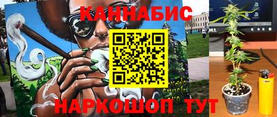 сатива Заволжье