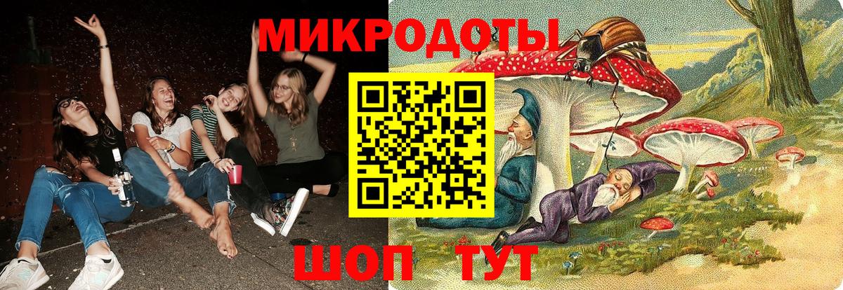 Псилоцибиновые грибы Psilocybine cubensis Мариинск